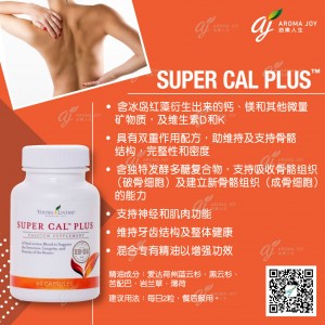 Super Cal Plus